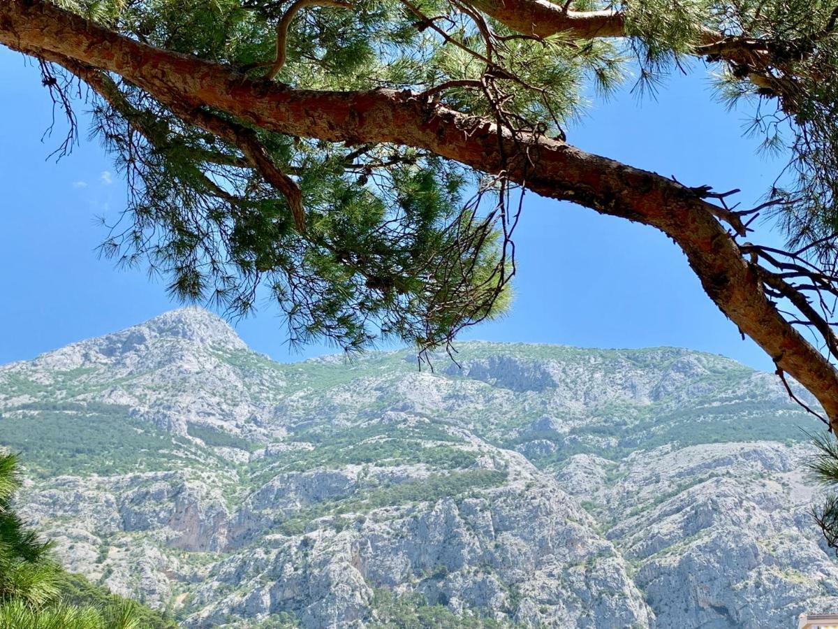 17 Pines Apartment Makarska Exterior photo